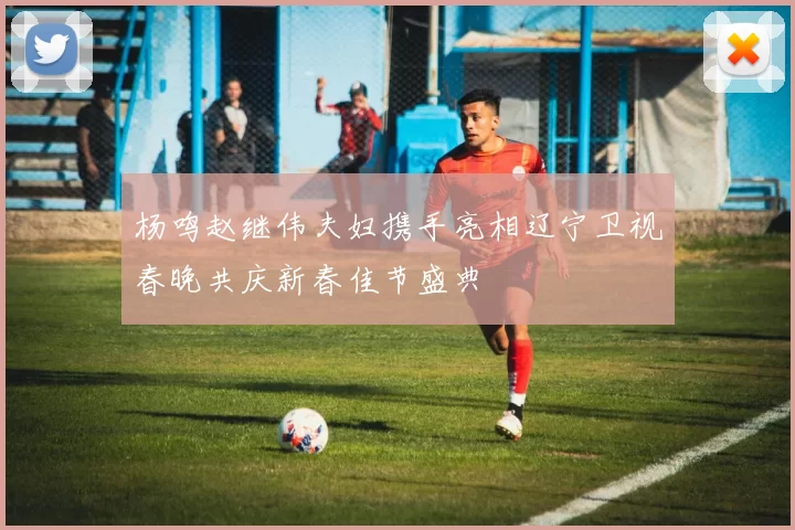 杨鸣赵继伟夫妇携手亮相辽宁卫视春晚共庆新春佳节盛典