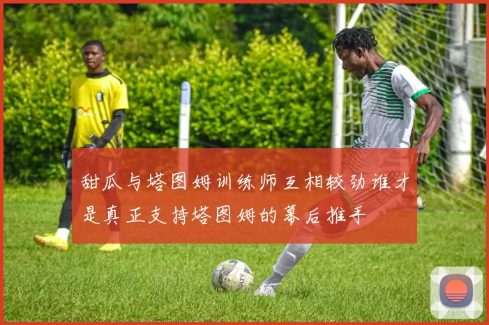 甜瓜与塔图姆训练师互相较劲谁才是真正支持塔图姆的幕后推手